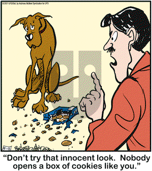 Marmaduke on Tuesday May 4, 2021 Comic Strip