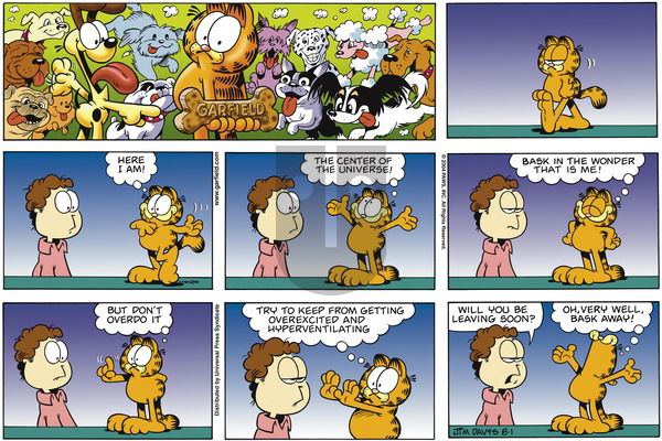 Garfield on Sunday August 1, 2004 Comic Strip