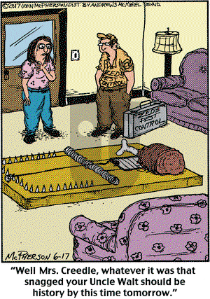 Close to Home on Saturday June 17, 2017 Comic Strip