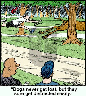 Marmaduke - Wednesday July 17, 2024 Comic Strip