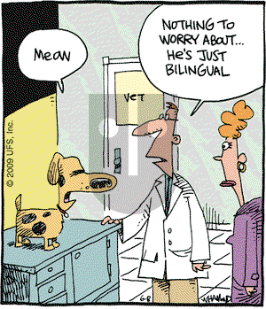 Reality Check on Monday June 8, 2009 Comic Strip