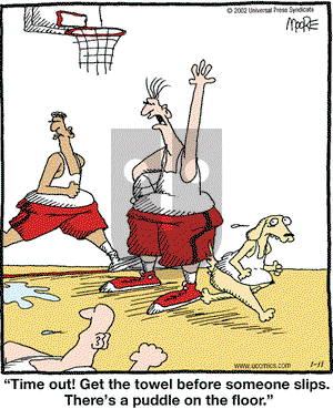 In the Bleachers on Friday January 11, 2002 Comic Strip