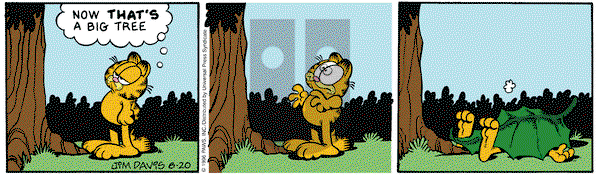 Garfield on Thursday June 20, 1996 Comic Strip