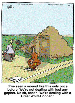 In the Bleachers on Friday May 11, 2007 Comic Strip