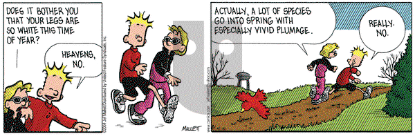 Frazz on Tuesday April 6, 2004 Comic Strip