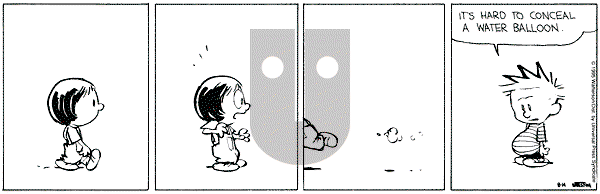 Calvin and Hobbes - Monday August 14, 1995 Comic Strip