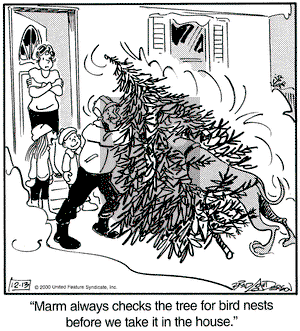 Marmaduke on Wednesday December 13, 2000 Comic Strip