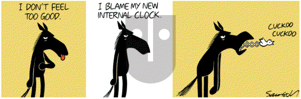 Dark Side of the Horse on Wednesday November 12, 2014 Comic Strip