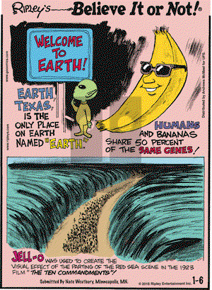 Ripley's Believe It or Not on Saturday January 6, 2018 Comic Strip