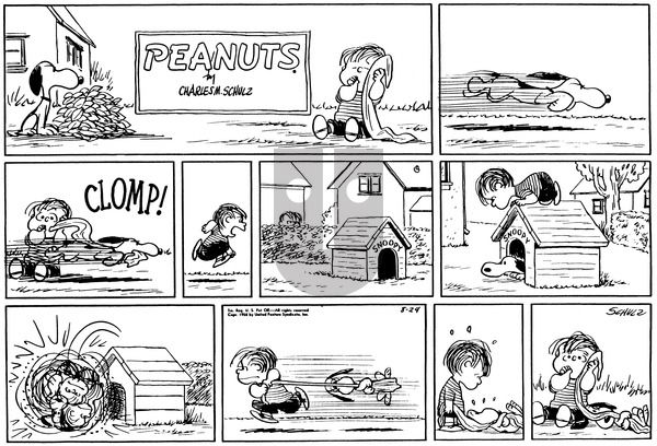 Peanuts on Sunday August 24, 1958 Comic Strip