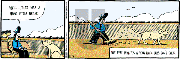 Overboard on Thursday November 23, 2000 Comic Strip