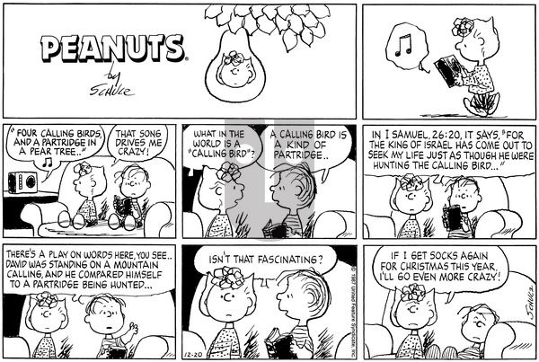 Peanuts on Sunday December 20, 1987 Comic Strip