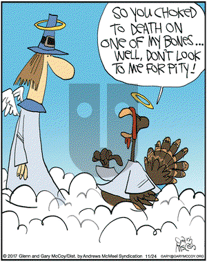 The Flying McCoys on Friday November 24, 2017 Comic Strip