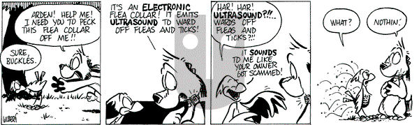 Buckles - Friday May 3, 2024 Comic Strip