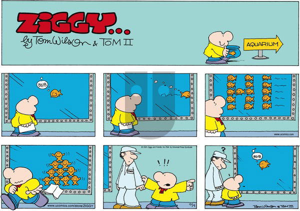 Ziggy on Sunday December 9, 2001 Comic Strip