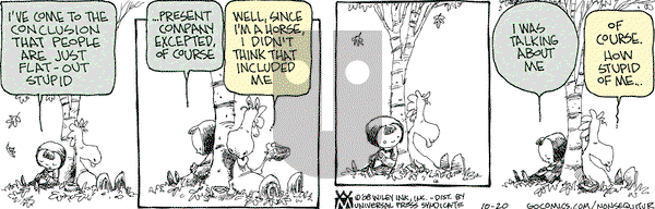 Non Sequitur on Monday October 20, 2008 Comic Strip
