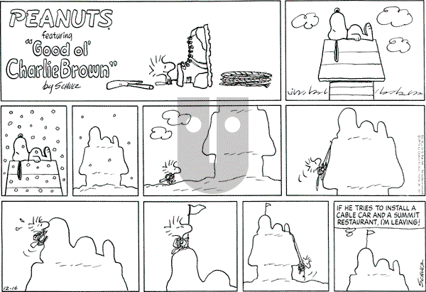 Peanuts - Sunday December 16, 1973 Comic Strip