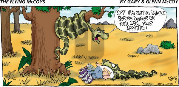The Flying McCoys on Sunday August 19, 2012 Comic Strip