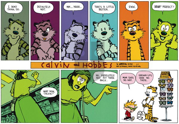 Calvin and Hobbes on Sunday July 18, 1993 Comic Strip
