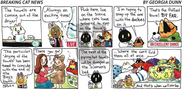 Breaking Cat News - Sunday February 9, 2025 Comic Strip