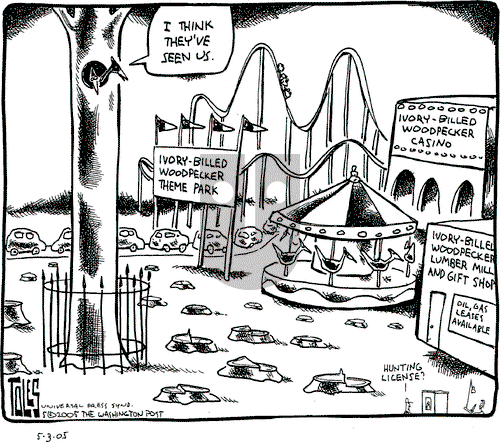 Tom Toles on Tuesday May 3, 2005 Comic Strip