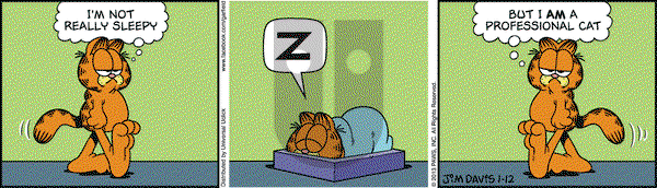 Garfield on Saturday January 12, 2013 Comic Strip