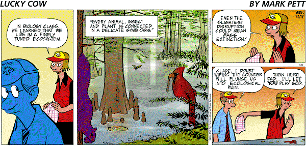 Lucky Cow on Sunday June 1, 2025 Comic Strip