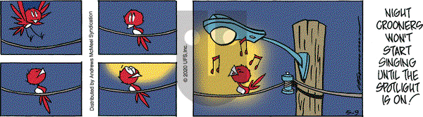 Rose is Rose on Saturday May 9, 2020 Comic Strip
