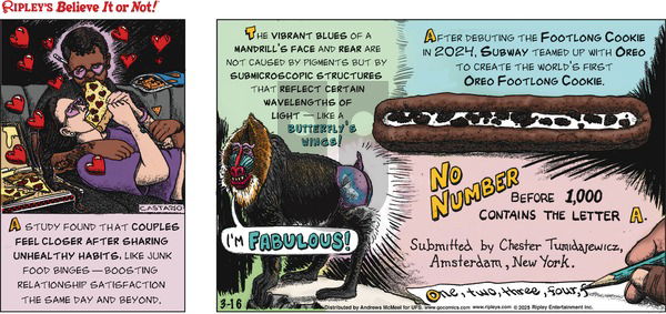 Ripley's Believe It or Not on Sunday March 16, 2025 Comic Strip