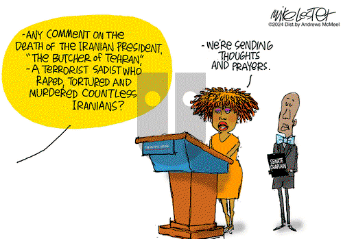 Mike Lester on Tuesday May 21, 2024 Comic Strip