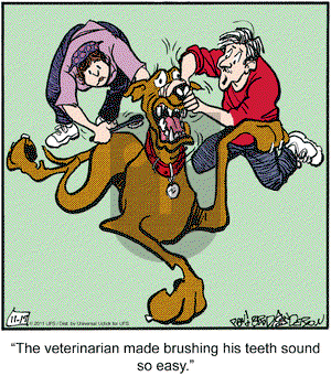 Marmaduke on Thursday November 17, 2011 Comic Strip