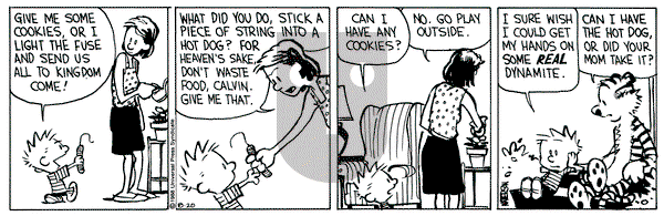 Calvin and Hobbes on Saturday August 20, 1988 Comic Strip