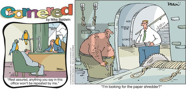 Cornered on Sunday July 1, 2018 Comic Strip