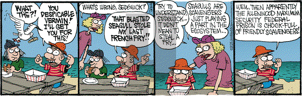 Monty on Thursday July 17, 2025 Comic Strip