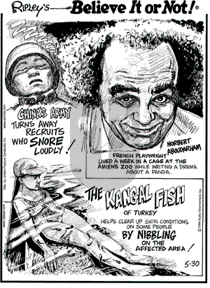 Ripley's Believe It or Not on Tuesday May 30, 2006 Comic Strip