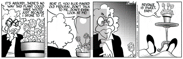 9 Chickweed Lane on Friday February 8, 2002 Comic Strip