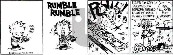 Calvin and Hobbes - Friday May 27, 1988 Comic Strip