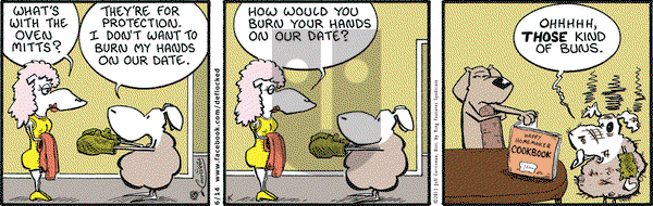 DeFlocked on Friday June 14, 2013 Comic Strip