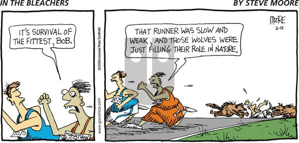 In the Bleachers on Sunday February 15, 2009 Comic Strip