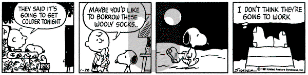 Peanuts - Wednesday January 28, 1981 Comic Strip