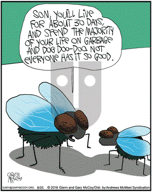 The Flying McCoys on Saturday August 25, 2018 Comic Strip
