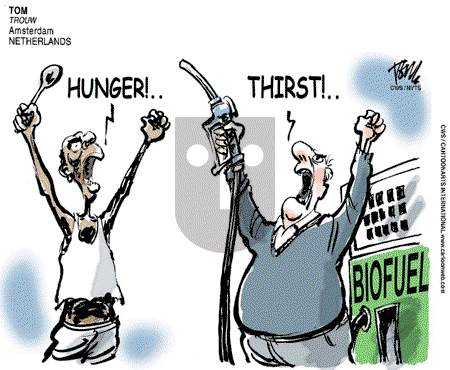 Views of the World on Wednesday April 16, 2008 Comic Strip