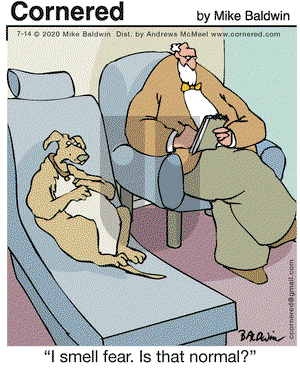 Cornered on Tuesday July 14, 2020 Comic Strip