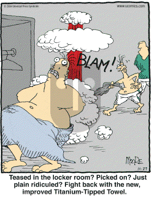 In the Bleachers - Saturday November 27, 2004 Comic Strip