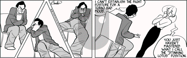 9 Chickweed Lane on Thursday April 10, 2008 Comic Strip