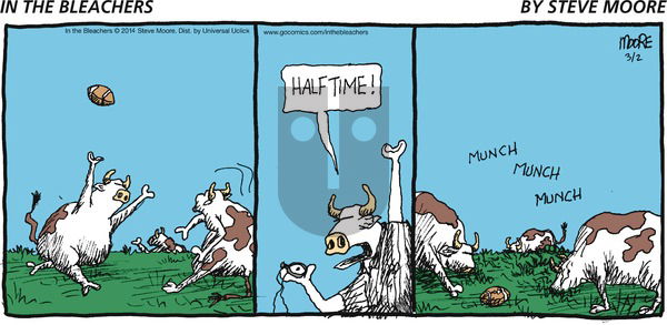 In the Bleachers - Sunday March 2, 2014 Comic Strip