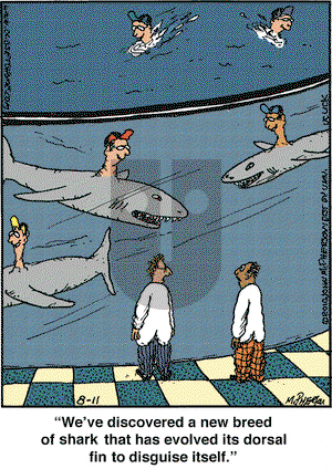 Close to Home on Wednesday August 11, 2010 Comic Strip