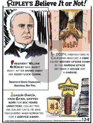Ripley's Believe It or Not - Friday December 6, 2024 Comic Strip