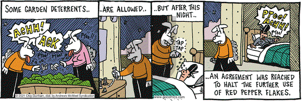 Overboard - Friday August 20, 2021 Comic Strip