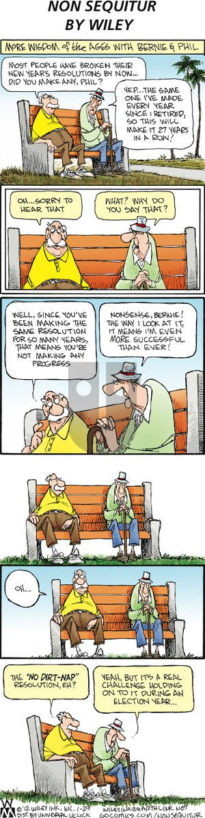 Non Sequitur on Sunday January 29, 2012 Comic Strip